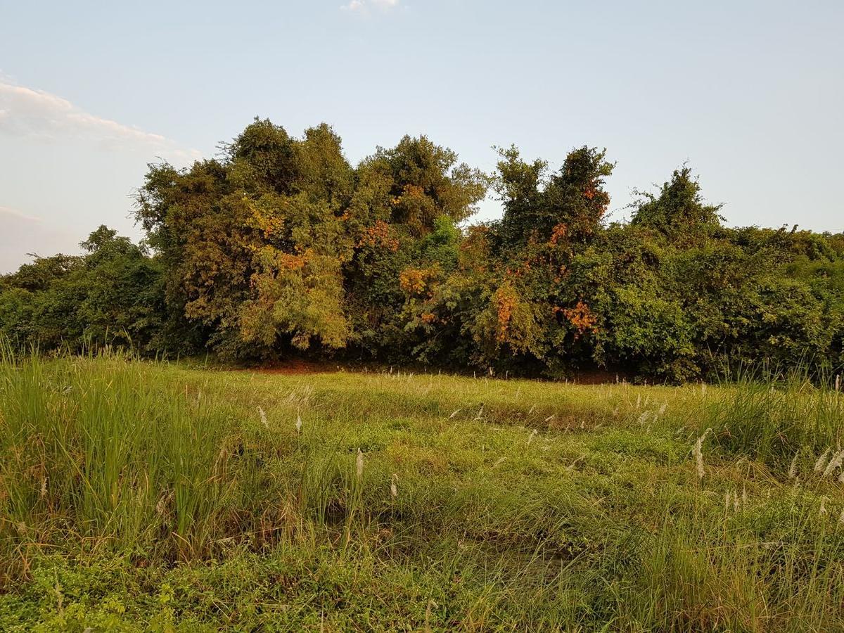Hiran Holidays Sasan Gir Exterior photo